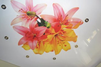 Качественная фотопечать на натяжных потолках! Качественная фотопечать на натяжных потолках!